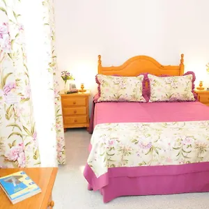 https://grancanariarent-vecindario.in-canary-islands.com